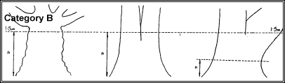 Measuring Trees Category B