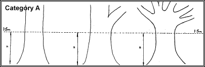 Measuring Trees Category A