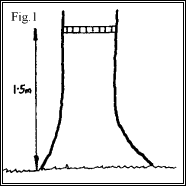 Measuring Trees Figure 1