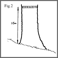 Measuring Trees Figure 2