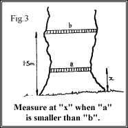 Measuring Trees Figure 3
