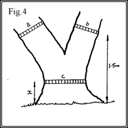 Measuring Trees Figure 4