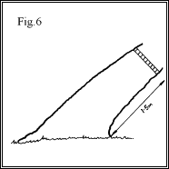 Measuring Trees Figure 6