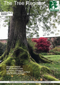 Newsletter 29 cover