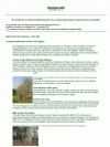 Newsletter 13