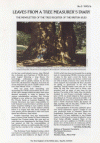 Newsletter 5
