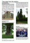 Regional News 2006