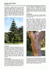 Regional News 2007